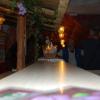 THE COUNTER